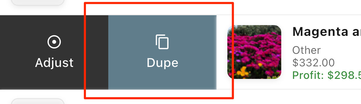 duplicate clone item 3