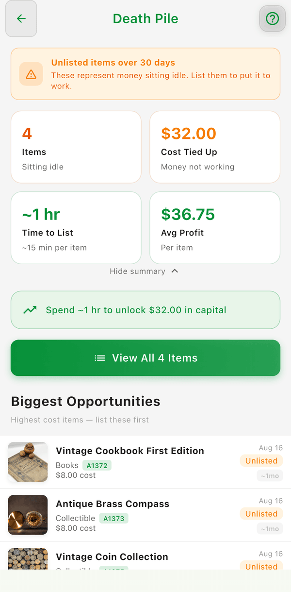 The Death Pile screen: items sitting idle, cost tied up, time to list, and the biggest opportunities