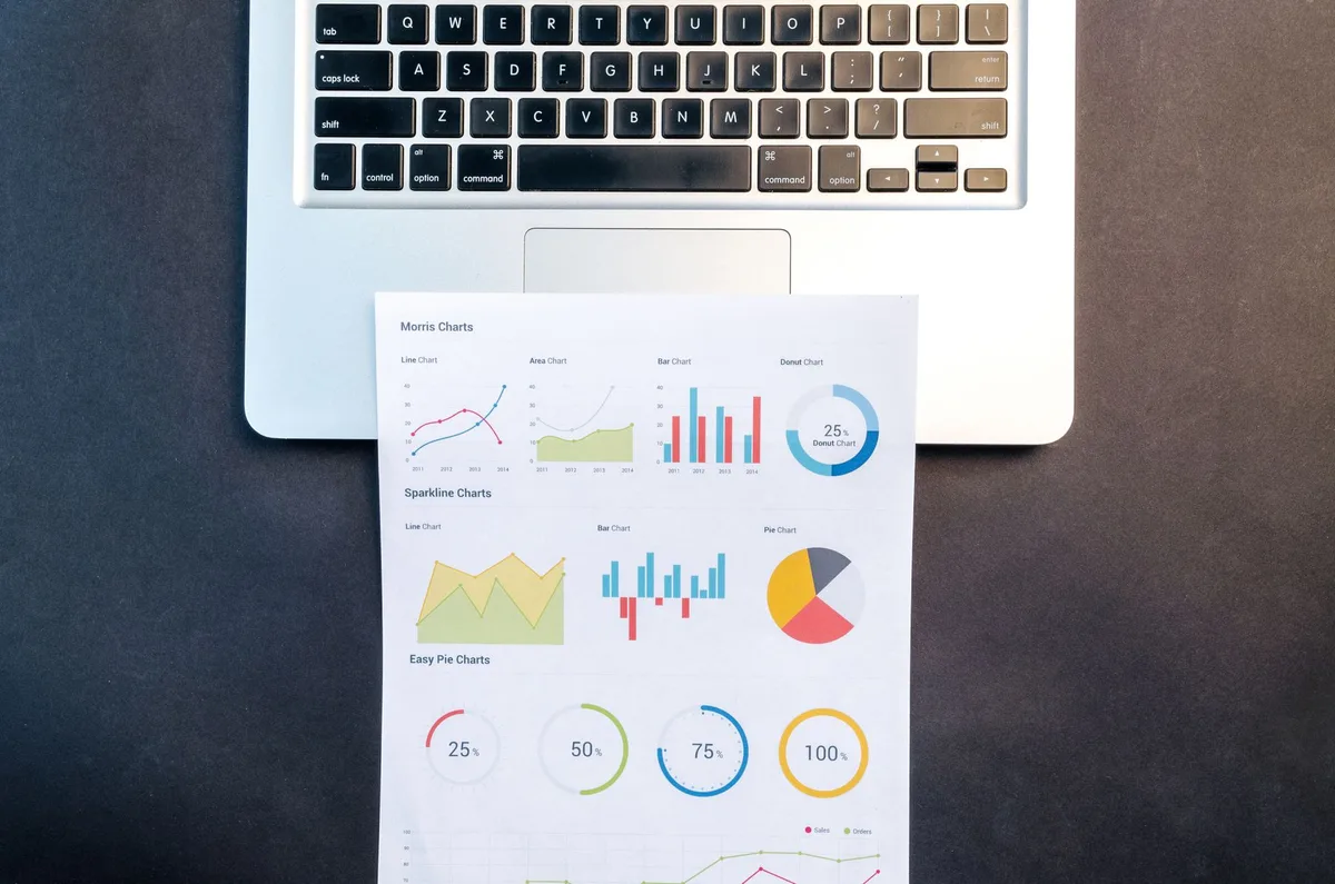 Computer screen showing reselling business analytics and profit charts